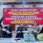 Ladang 20 Ha Digulung ; Polda Sumsel Putus Rantai Ganja Lintas Provinsi