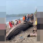 Hiu Tutul Terdampar di Pangandaran