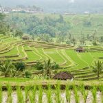 Tabanan Menguatkan Pariwisata Berbasis Alam, Budaya & Subak