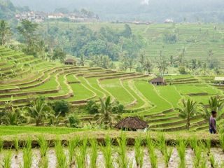 Tabanan Menguatkan Pariwisata Berbasis Alam, Budaya & Subak