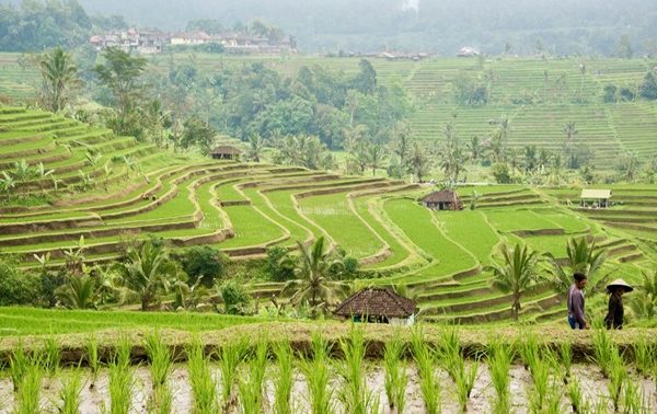 Tabanan Menguatkan Pariwisata Berbasis Alam, Budaya & Subak